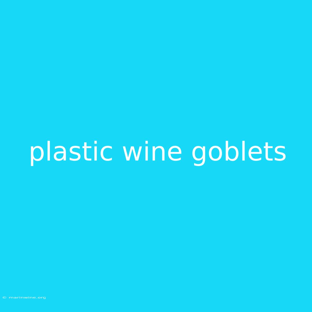 Plastic Wine Goblets