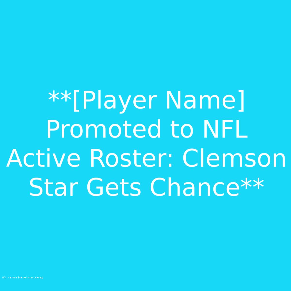 **[Player Name] Promoted To NFL Active Roster: Clemson Star Gets Chance**