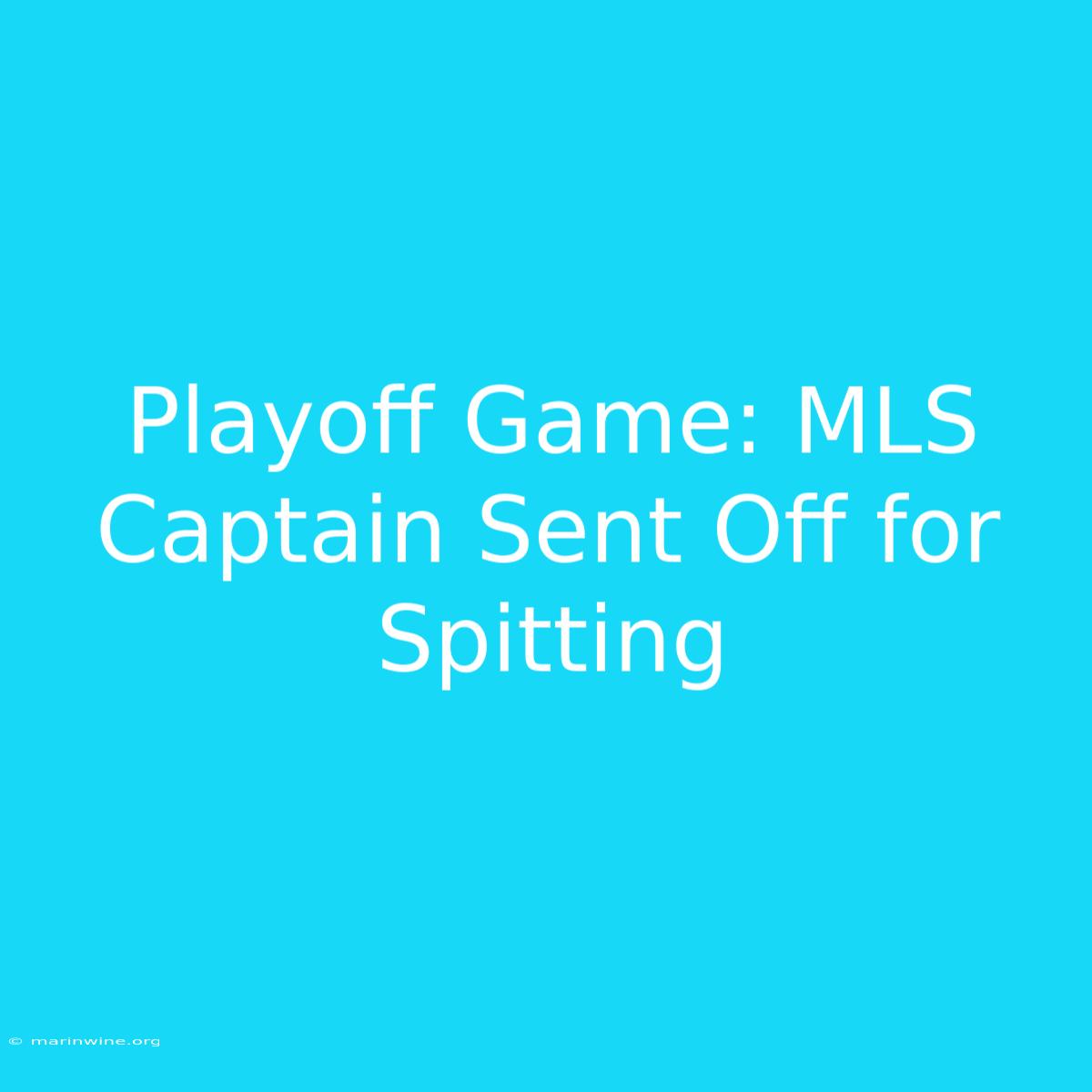 Playoff Game: MLS Captain Sent Off For Spitting