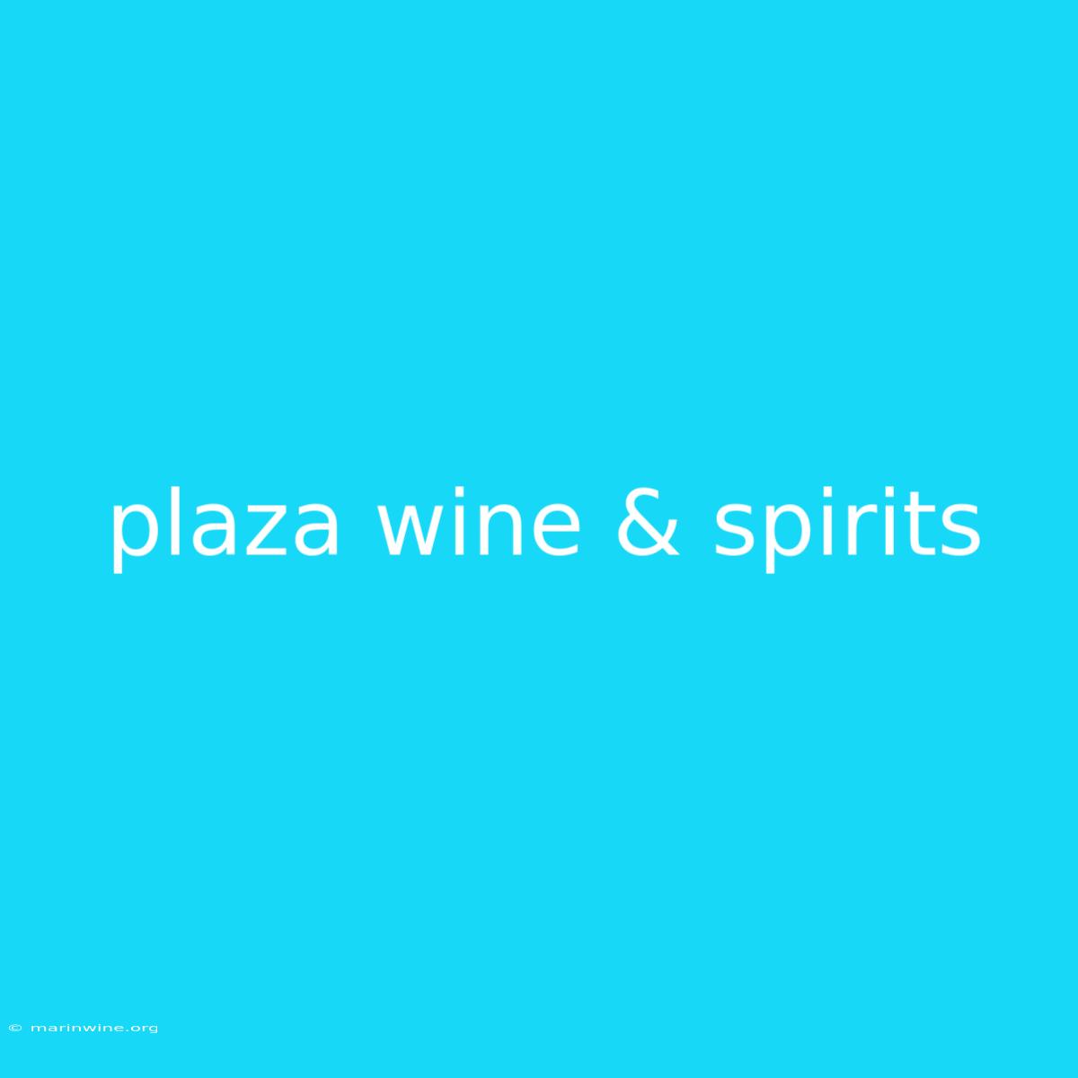 Plaza Wine & Spirits