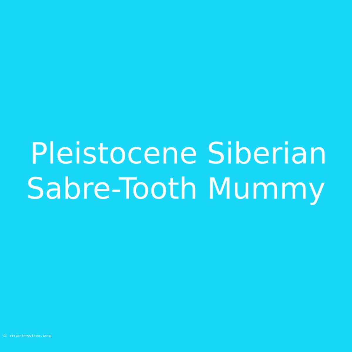 Pleistocene Siberian Sabre-Tooth Mummy