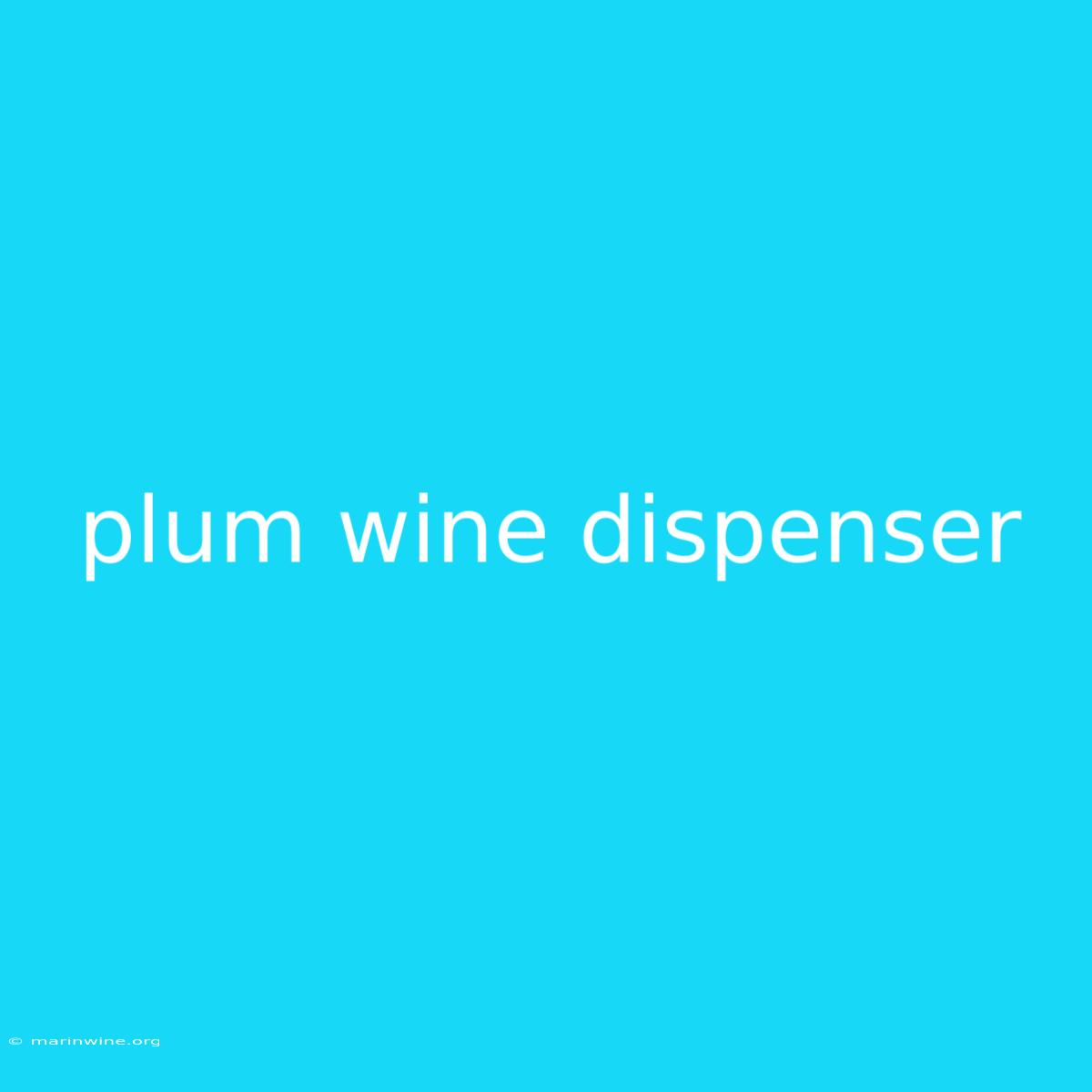 Plum Wine Dispenser