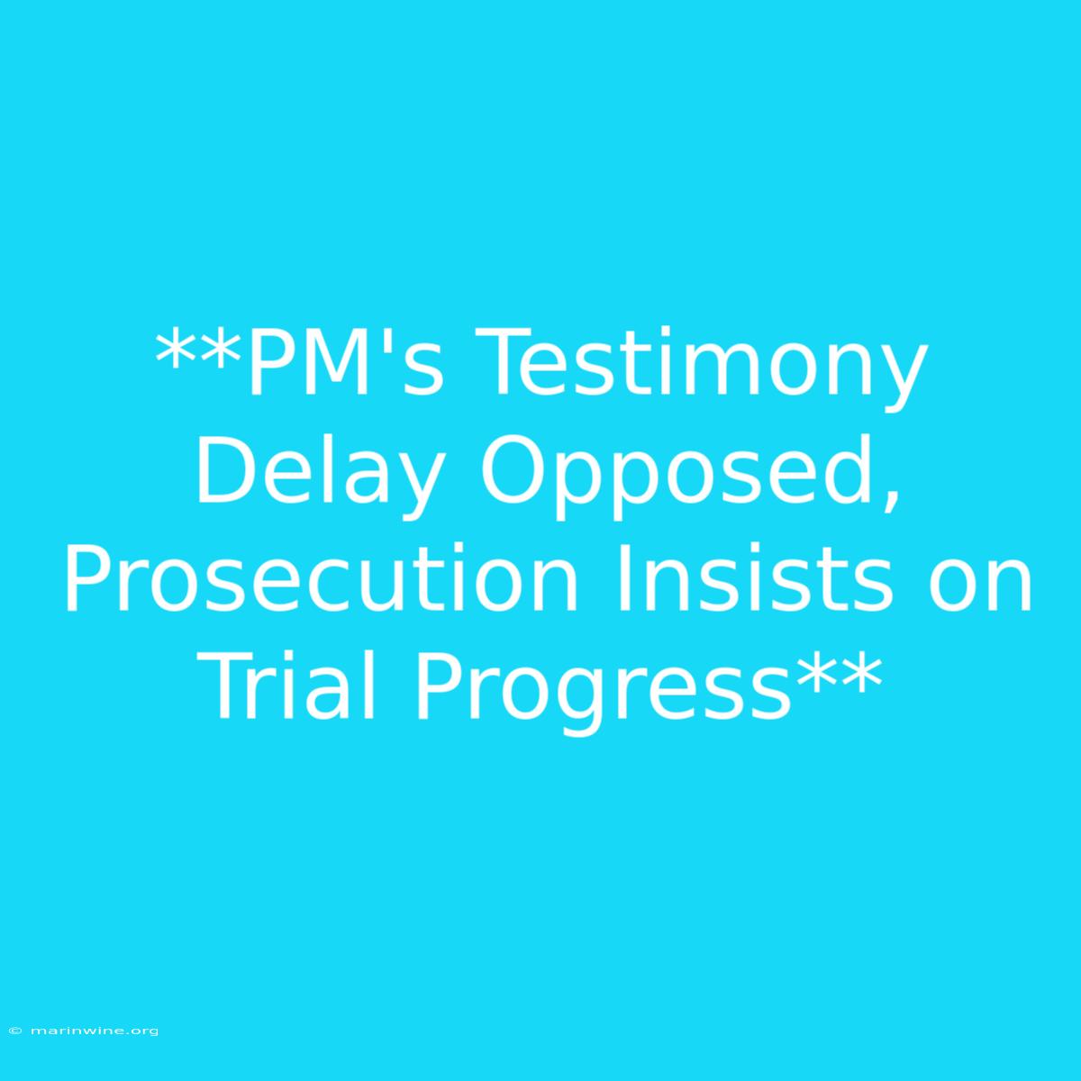 **PM's Testimony Delay Opposed, Prosecution Insists On Trial Progress**