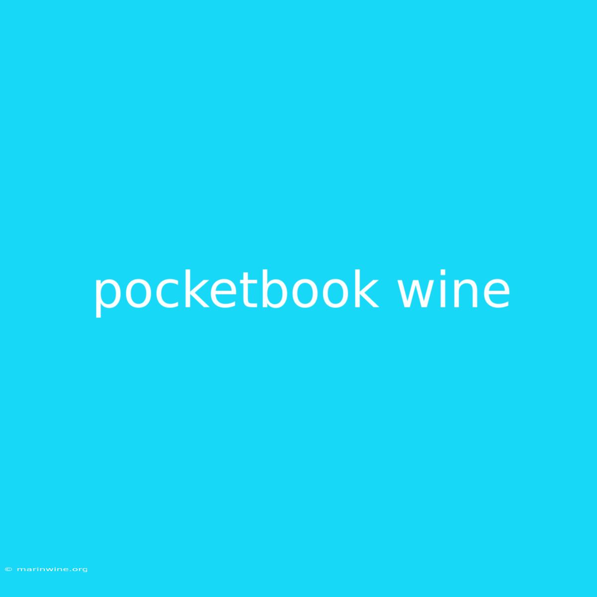 Pocketbook Wine