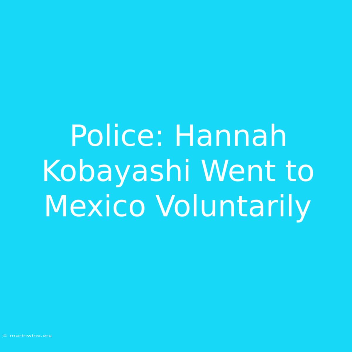 Police: Hannah Kobayashi Went To Mexico Voluntarily