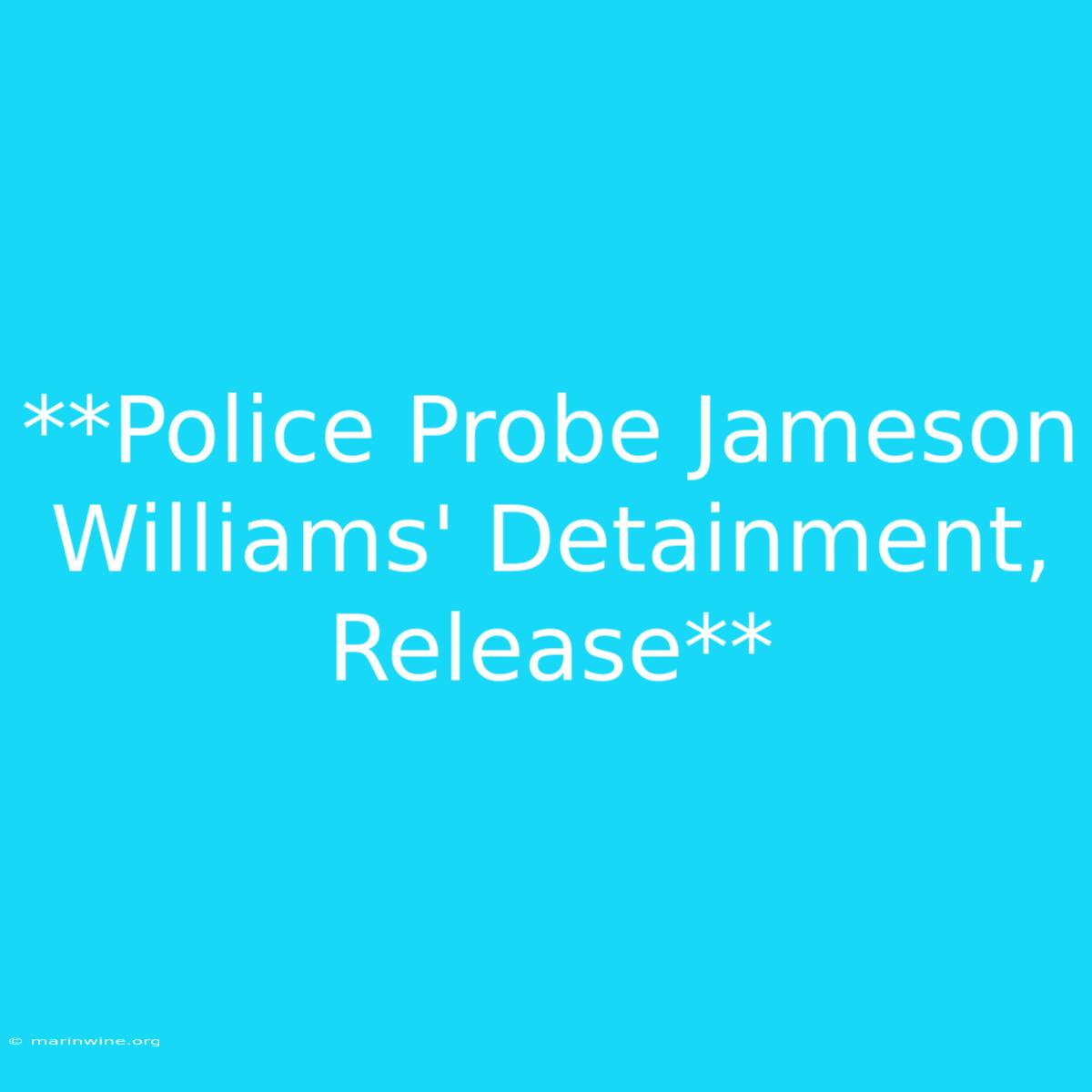 **Police Probe Jameson Williams' Detainment, Release**