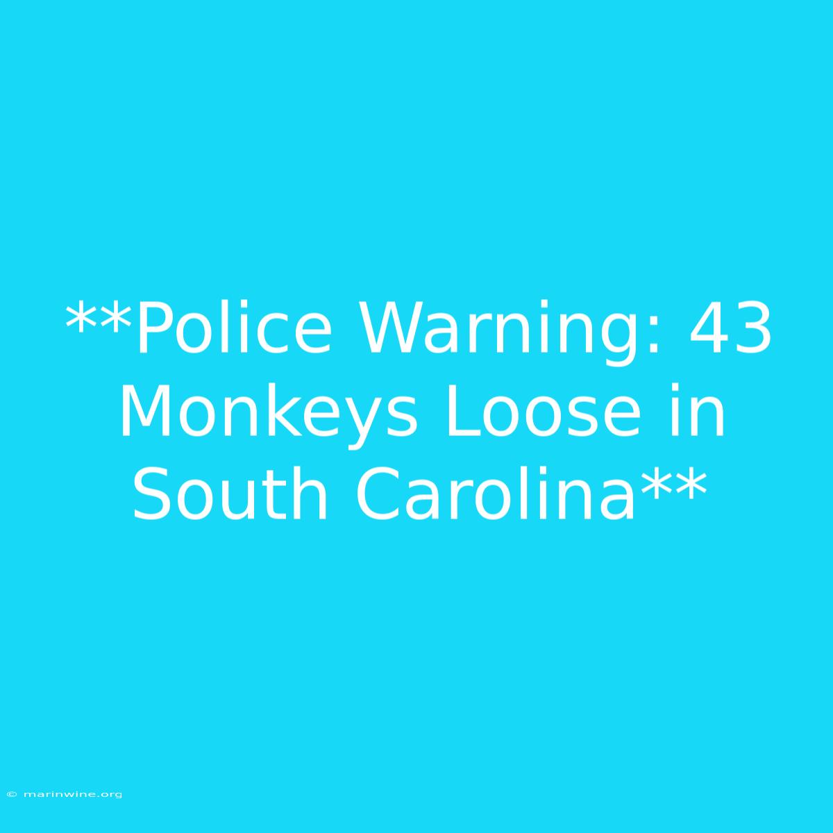 **Police Warning: 43 Monkeys Loose In South Carolina** 