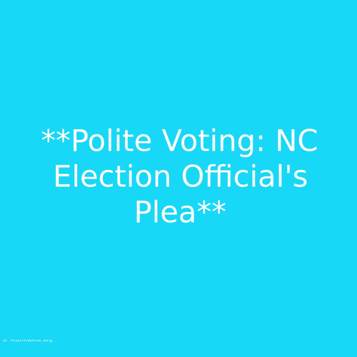 **Polite Voting: NC Election Official's Plea** 