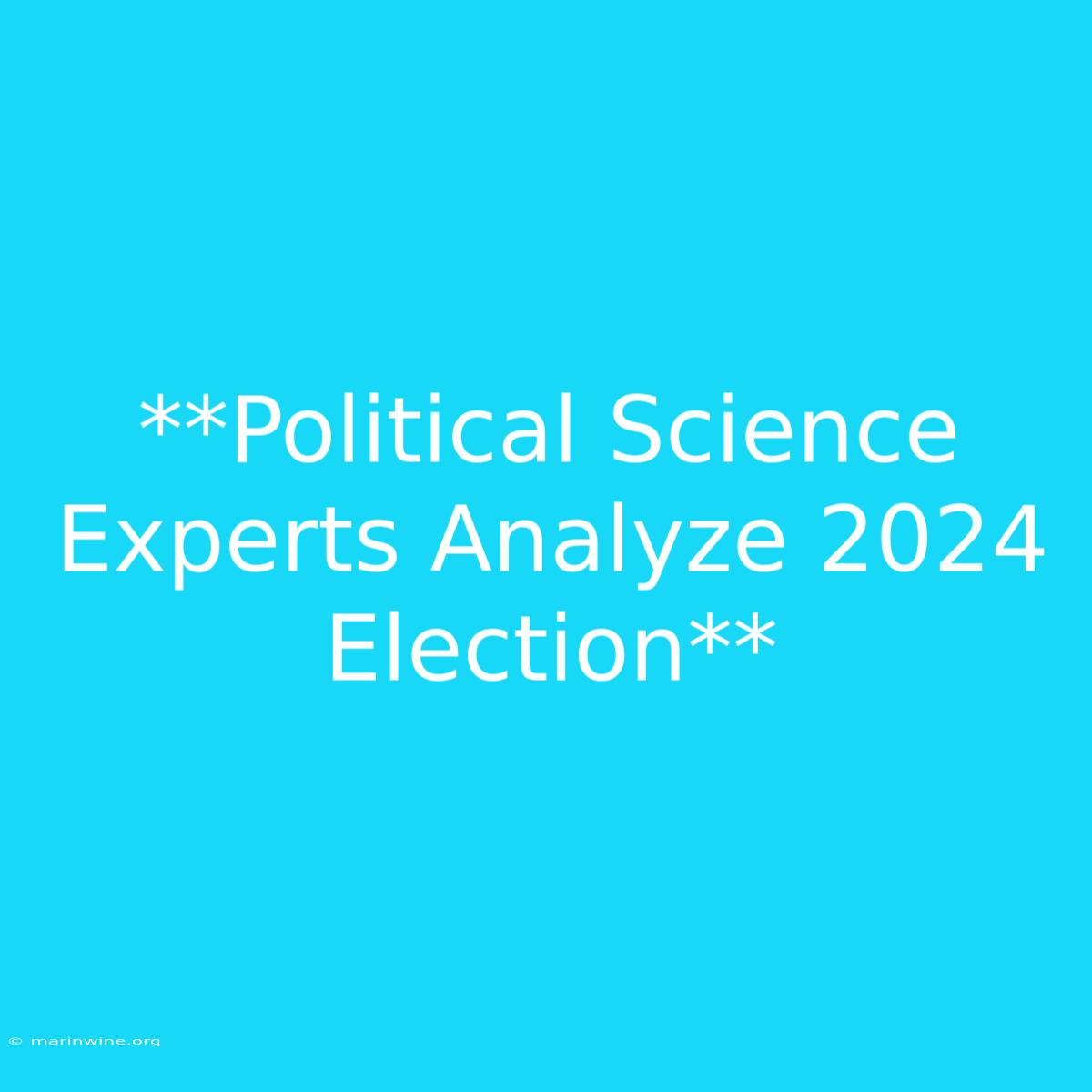 **Political Science Experts Analyze 2024 Election**