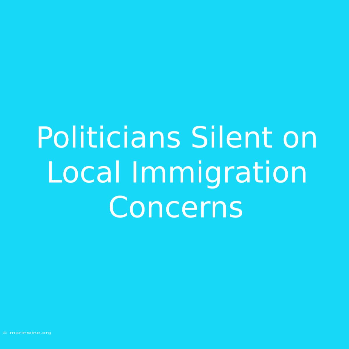 Politicians Silent On Local Immigration Concerns