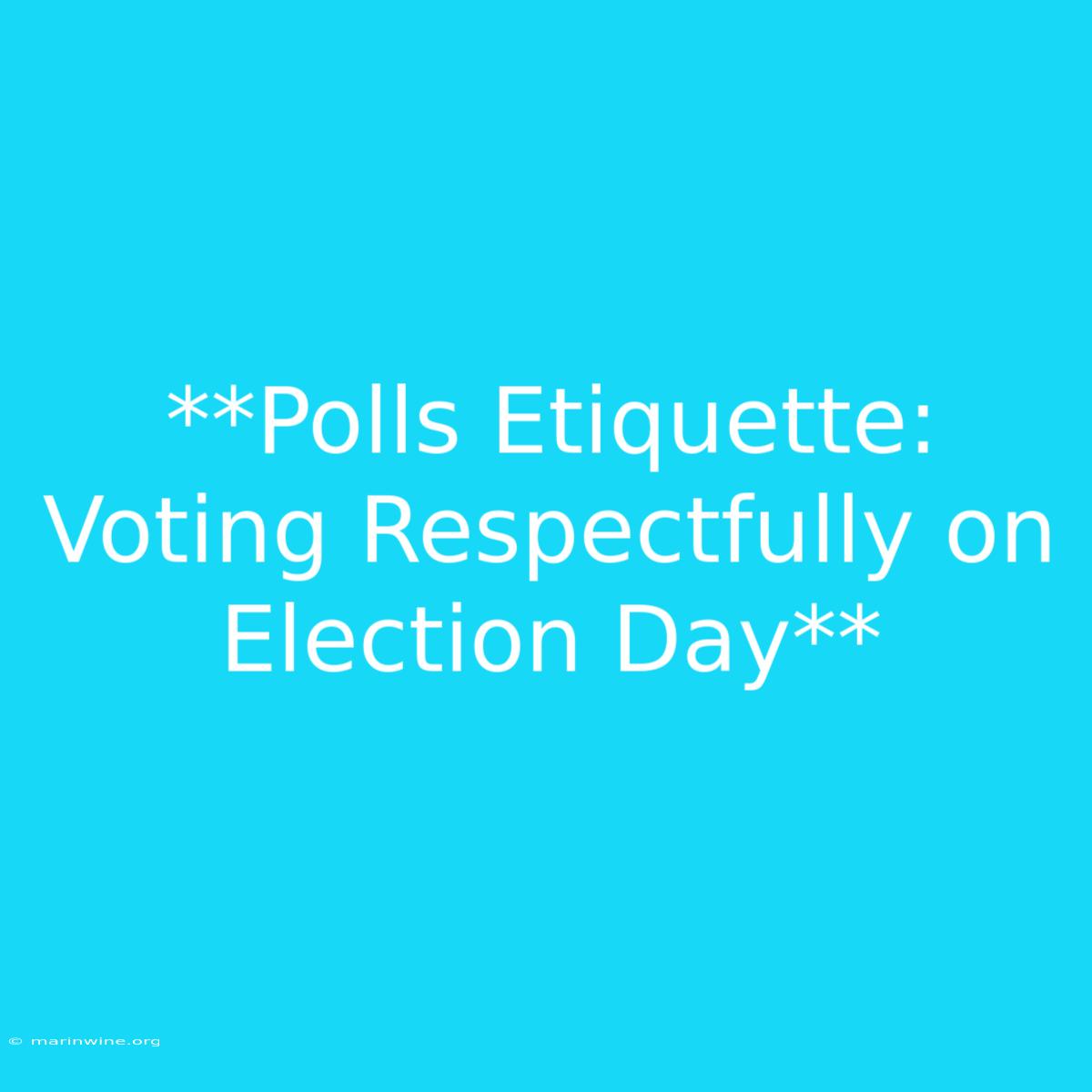 **Polls Etiquette: Voting Respectfully On Election Day**