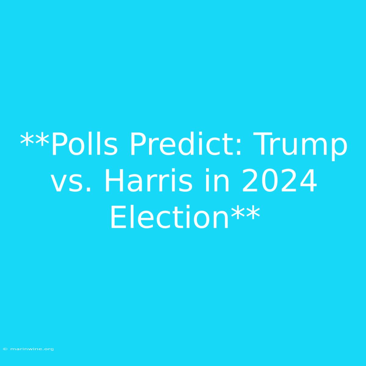 **Polls Predict: Trump Vs. Harris In 2024 Election** 