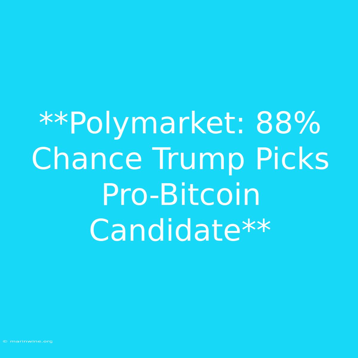 **Polymarket: 88% Chance Trump Picks Pro-Bitcoin Candidate**