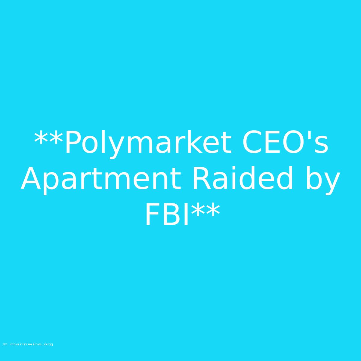 **Polymarket CEO's Apartment Raided By FBI** 