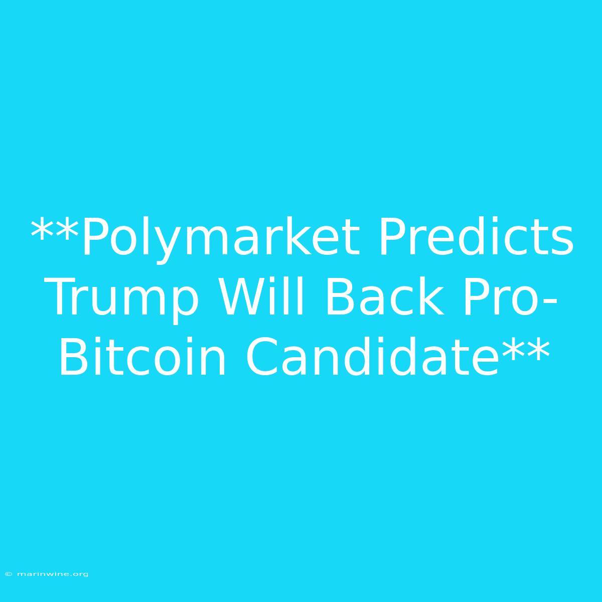 **Polymarket Predicts Trump Will Back Pro-Bitcoin Candidate** 