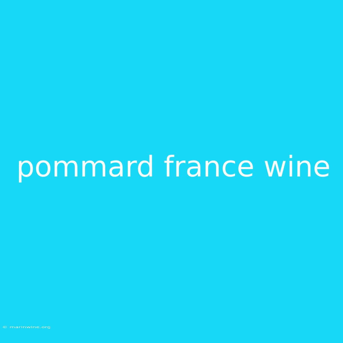 Pommard France Wine