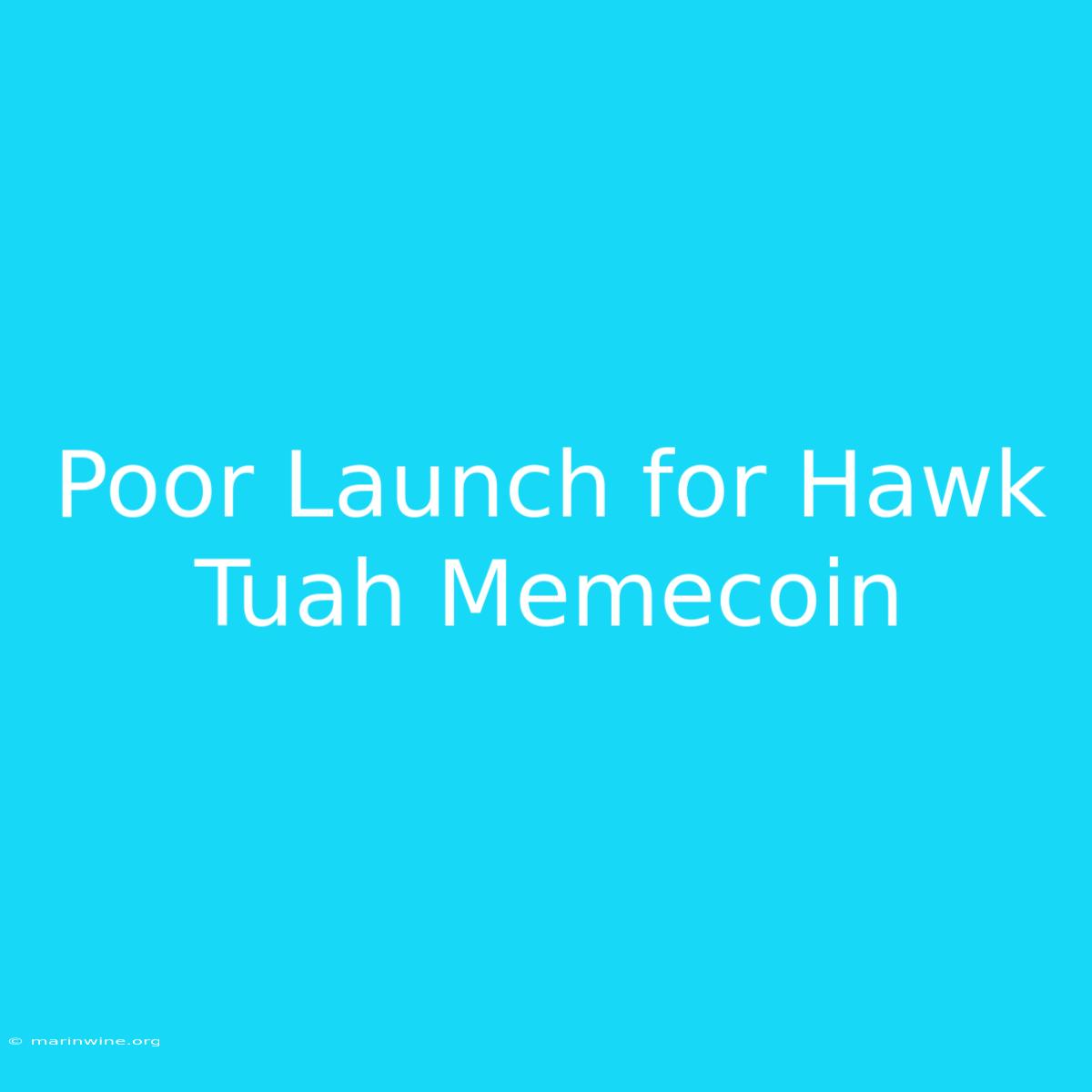 Poor Launch For Hawk Tuah Memecoin