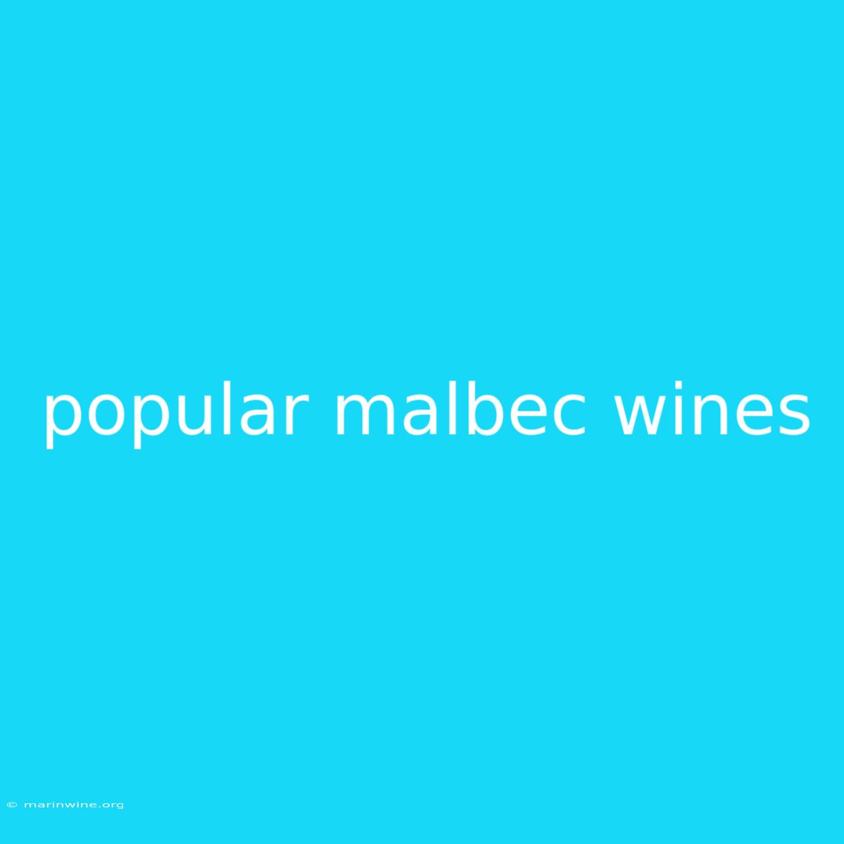 Popular Malbec Wines