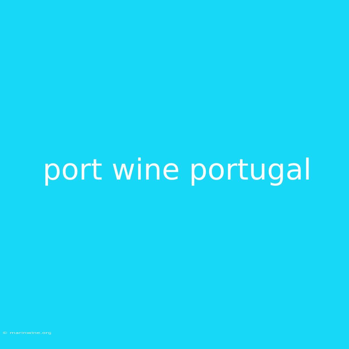 Port Wine Portugal