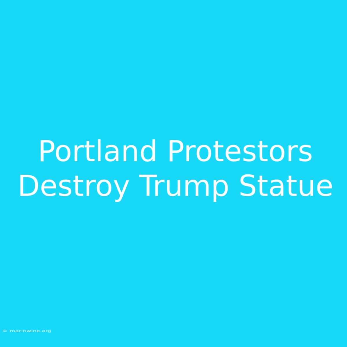 Portland Protestors Destroy Trump Statue 