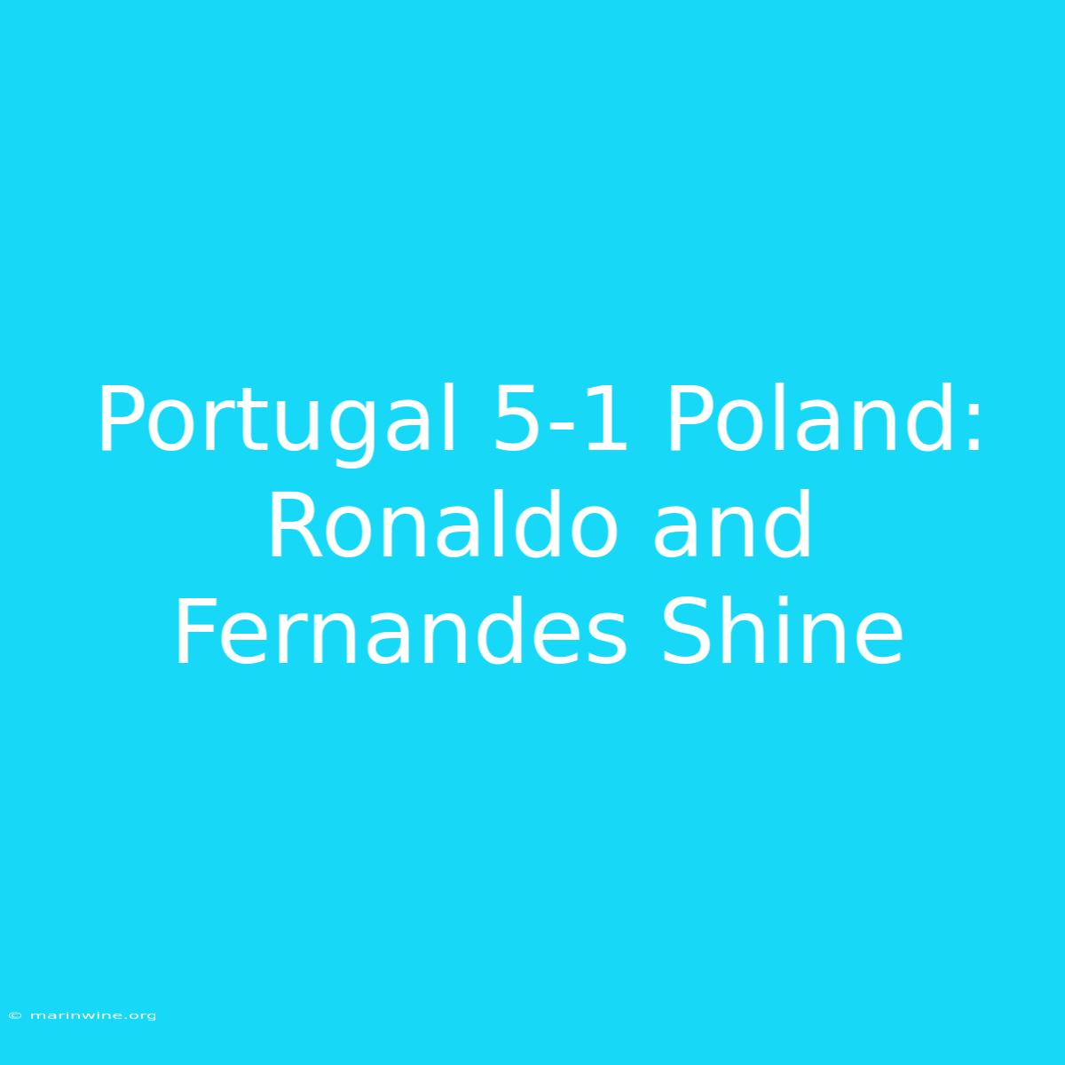 Portugal 5-1 Poland: Ronaldo And Fernandes Shine