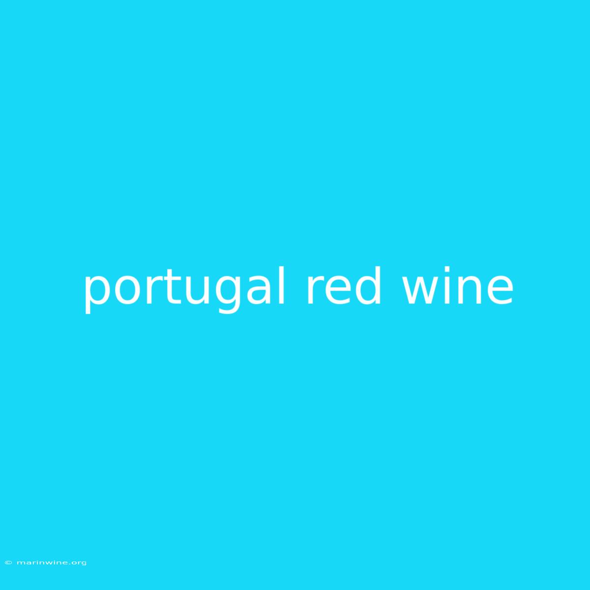 Portugal Red Wine