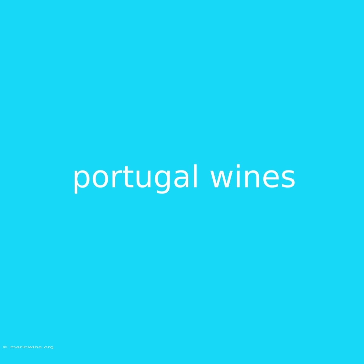 Portugal Wines