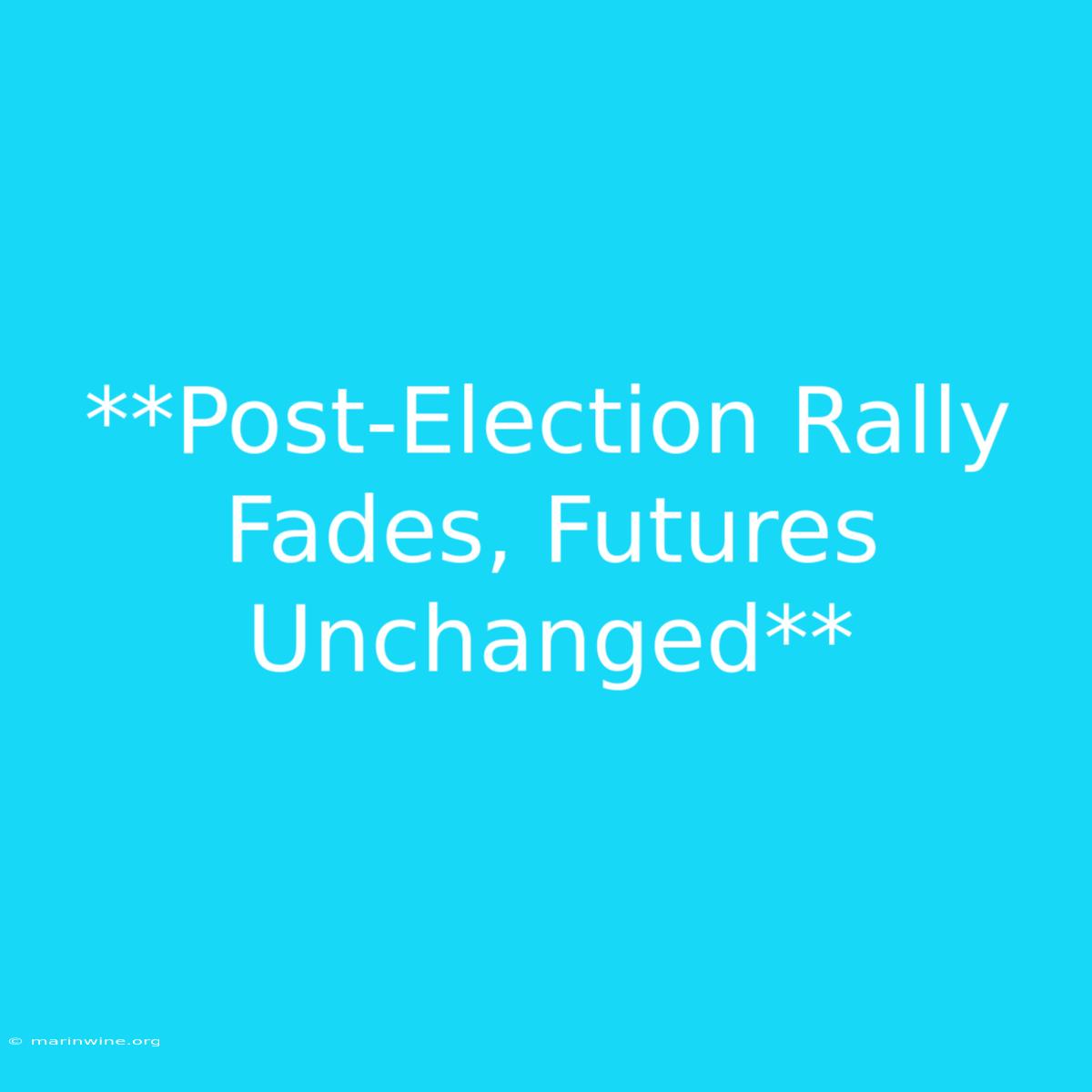 **Post-Election Rally Fades, Futures Unchanged** 