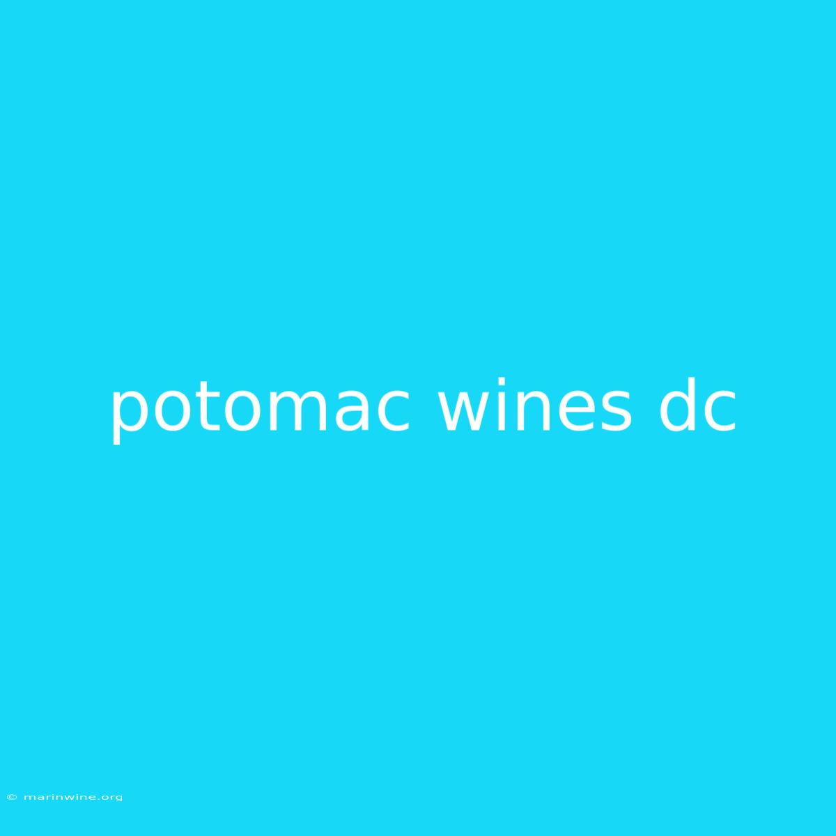 Potomac Wines Dc