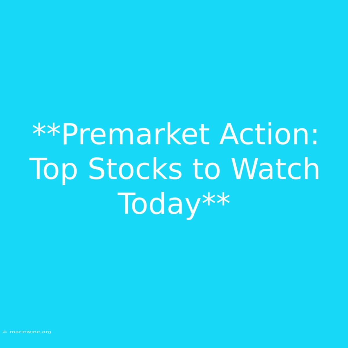 **Premarket Action: Top Stocks To Watch Today** 