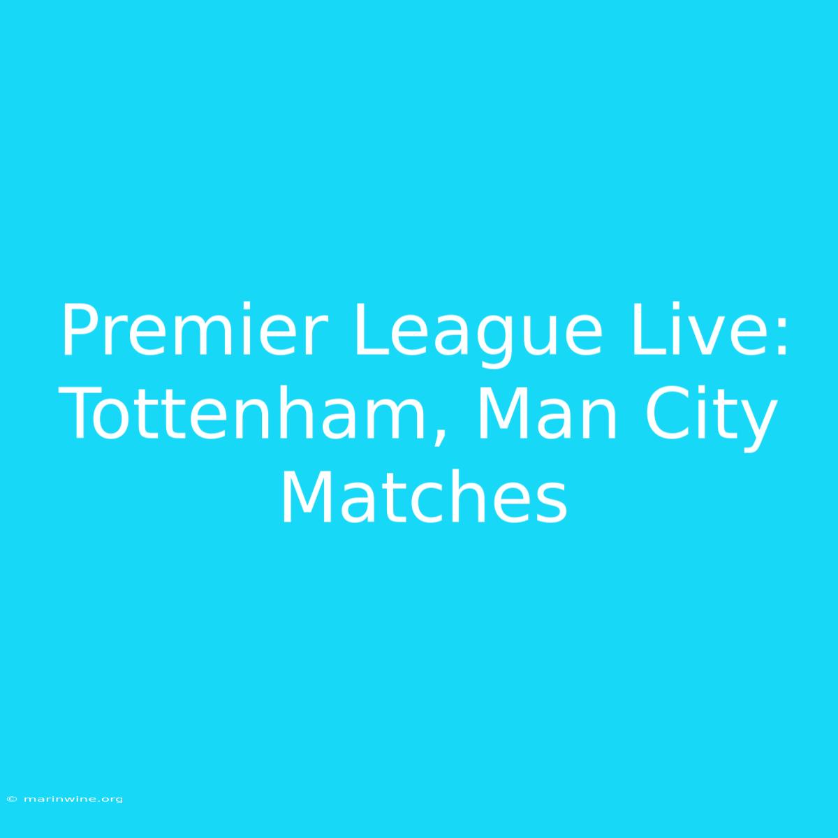 Premier League Live: Tottenham, Man City Matches