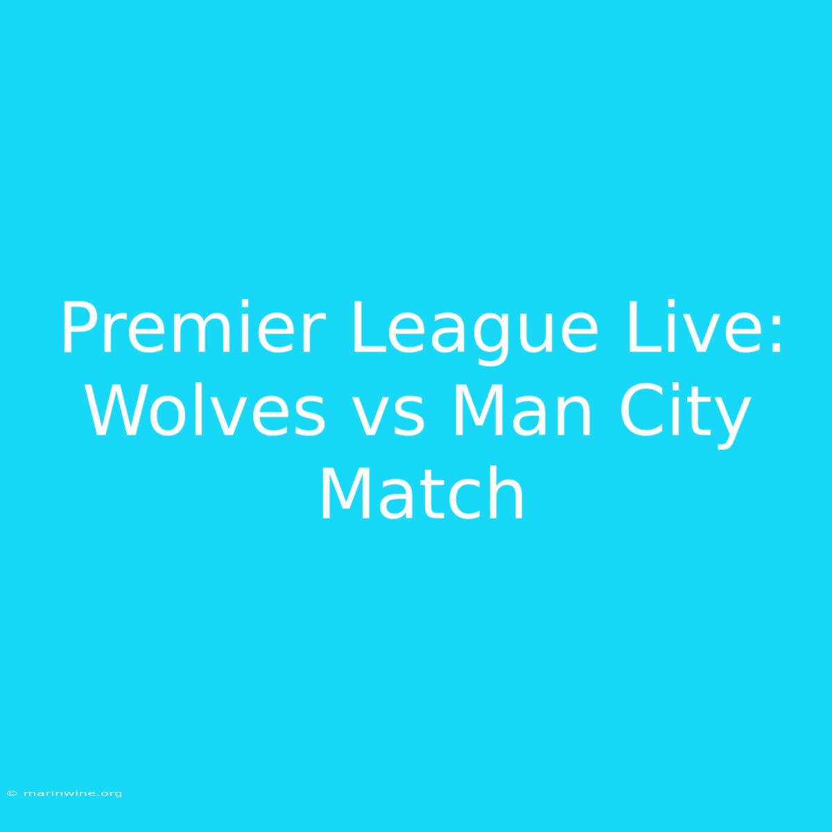 Premier League Live: Wolves Vs Man City Match 