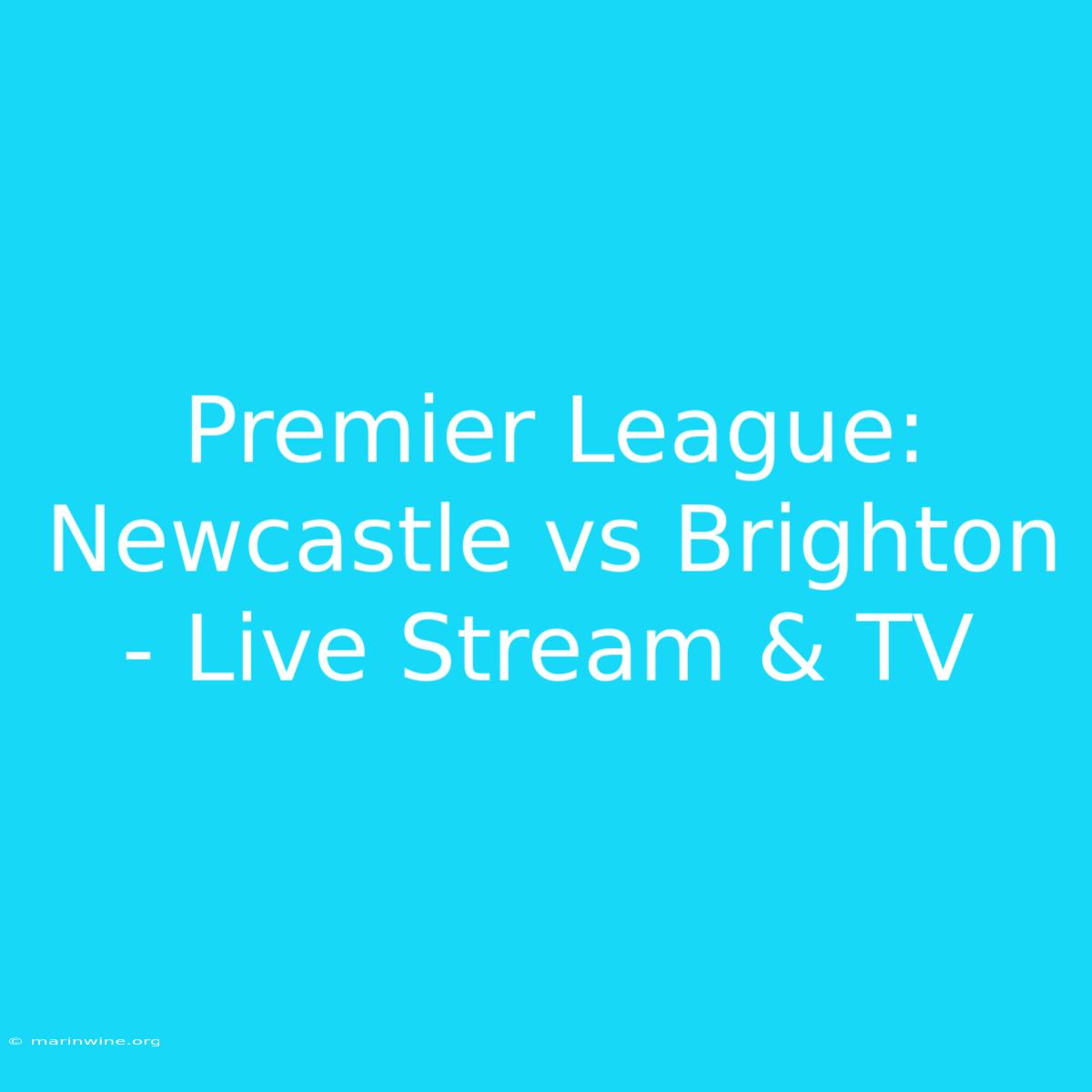 Premier League: Newcastle Vs Brighton - Live Stream & TV 