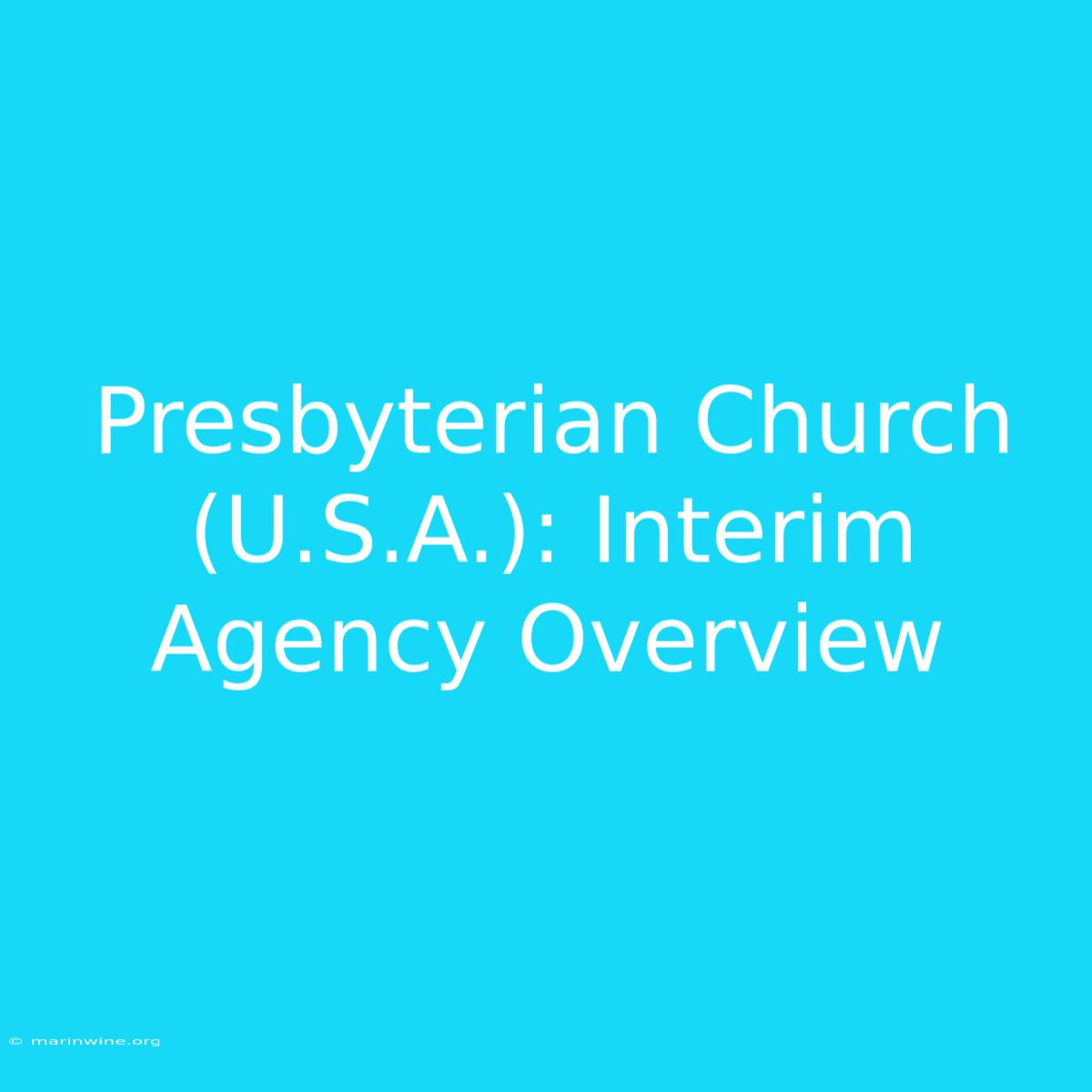 Presbyterian Church (U.S.A.): Interim Agency Overview