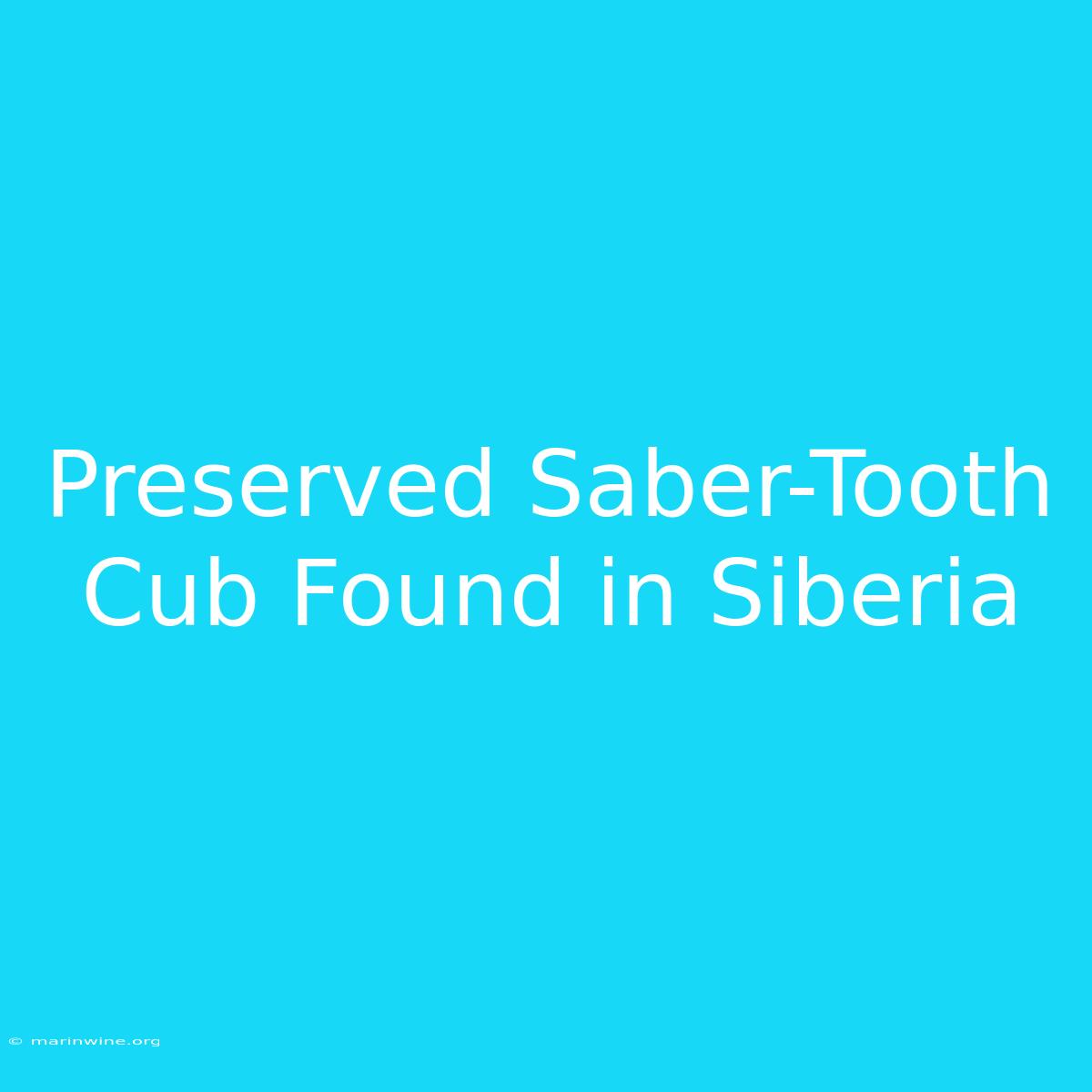 Preserved Saber-Tooth Cub Found In Siberia