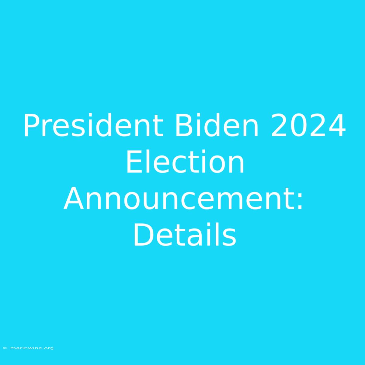 President Biden 2024 Election Announcement: Details