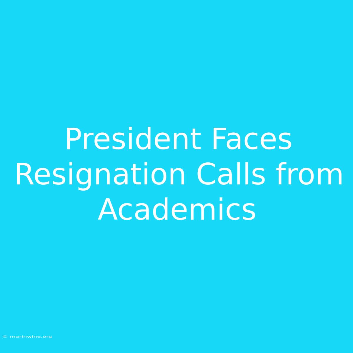 President Faces Resignation Calls From Academics