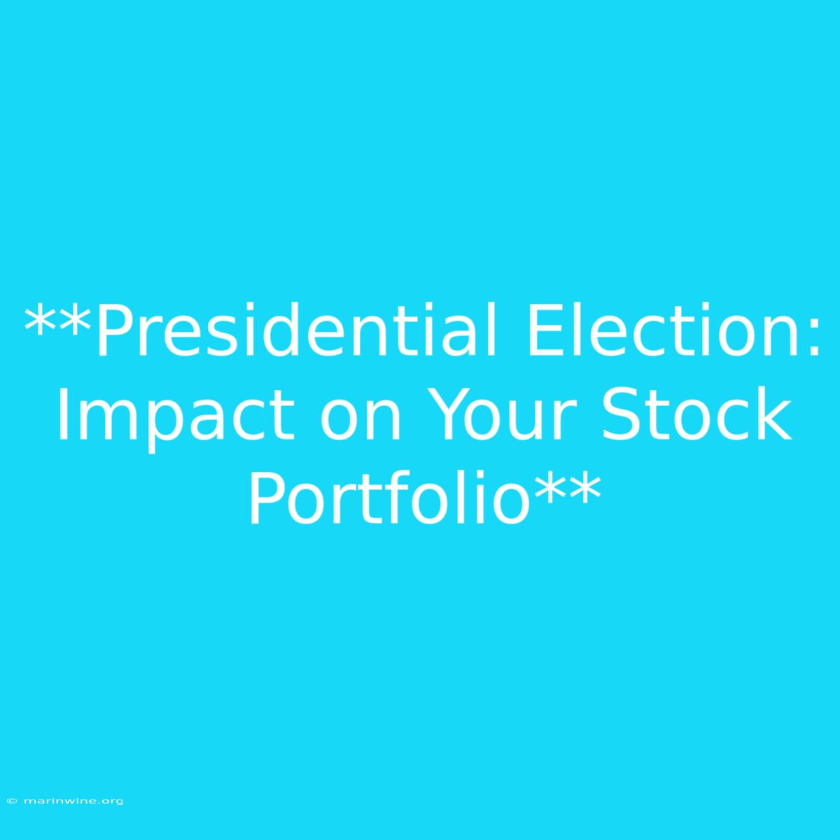 **Presidential Election: Impact On Your Stock Portfolio** 