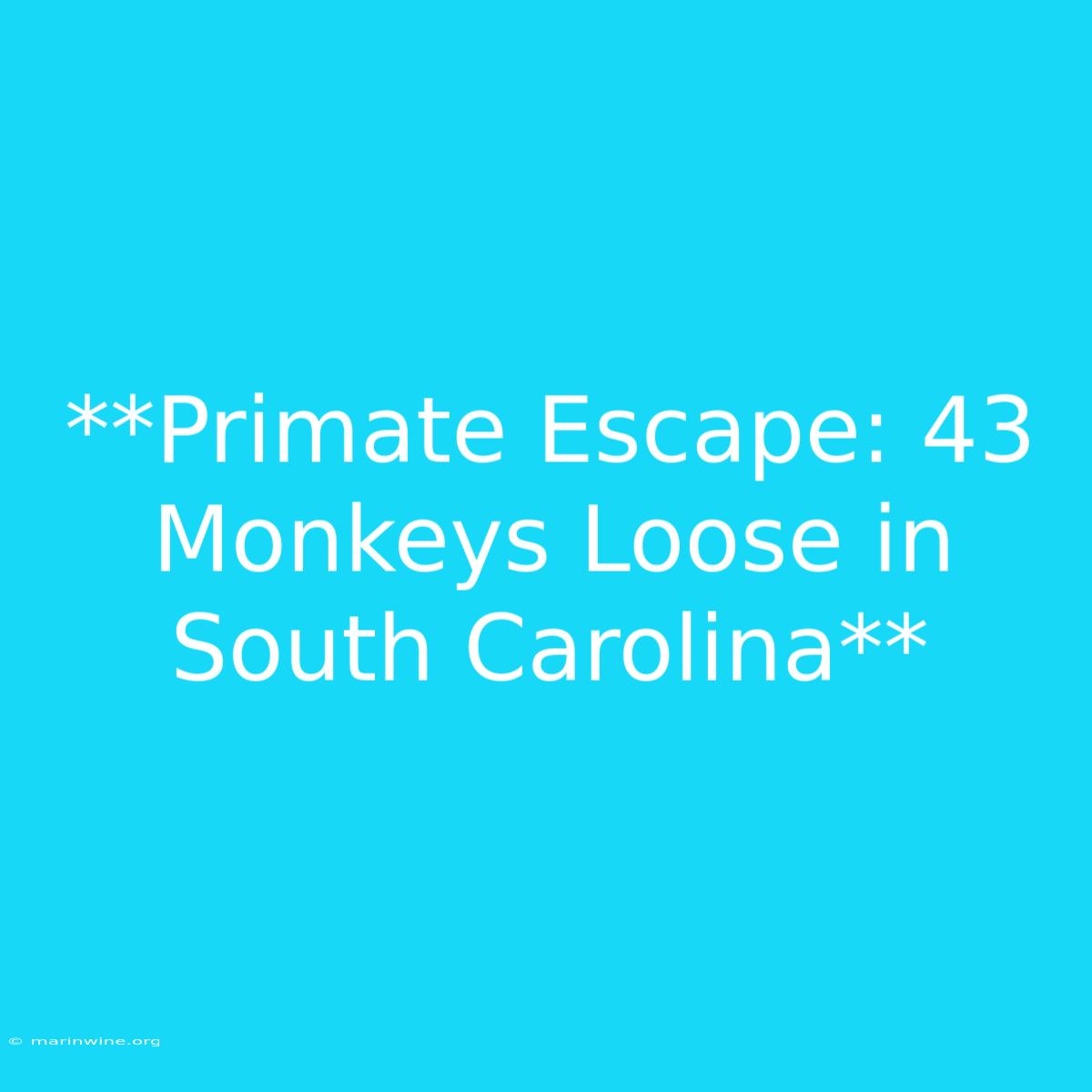 **Primate Escape: 43 Monkeys Loose In South Carolina**