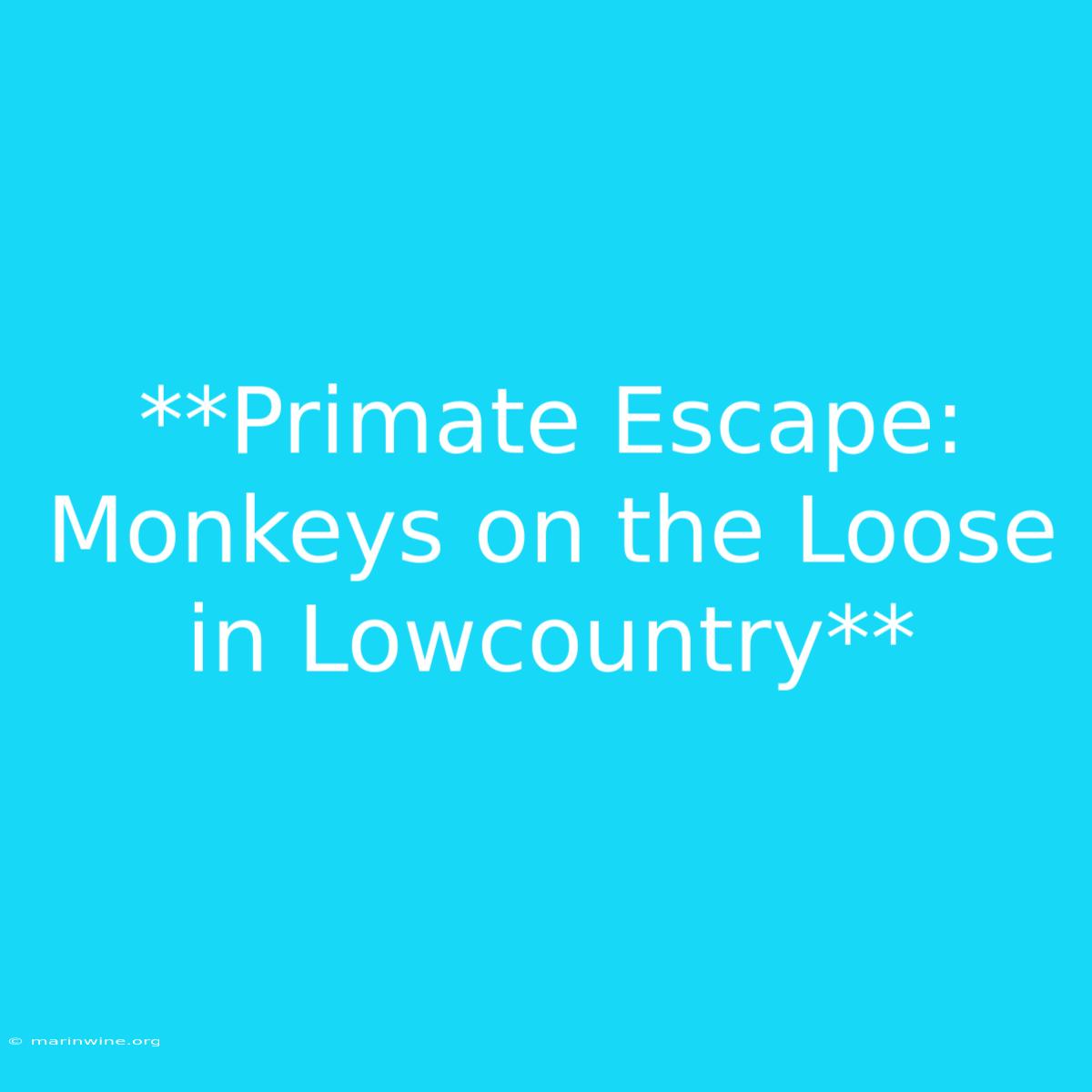 **Primate Escape: Monkeys On The Loose In Lowcountry** 