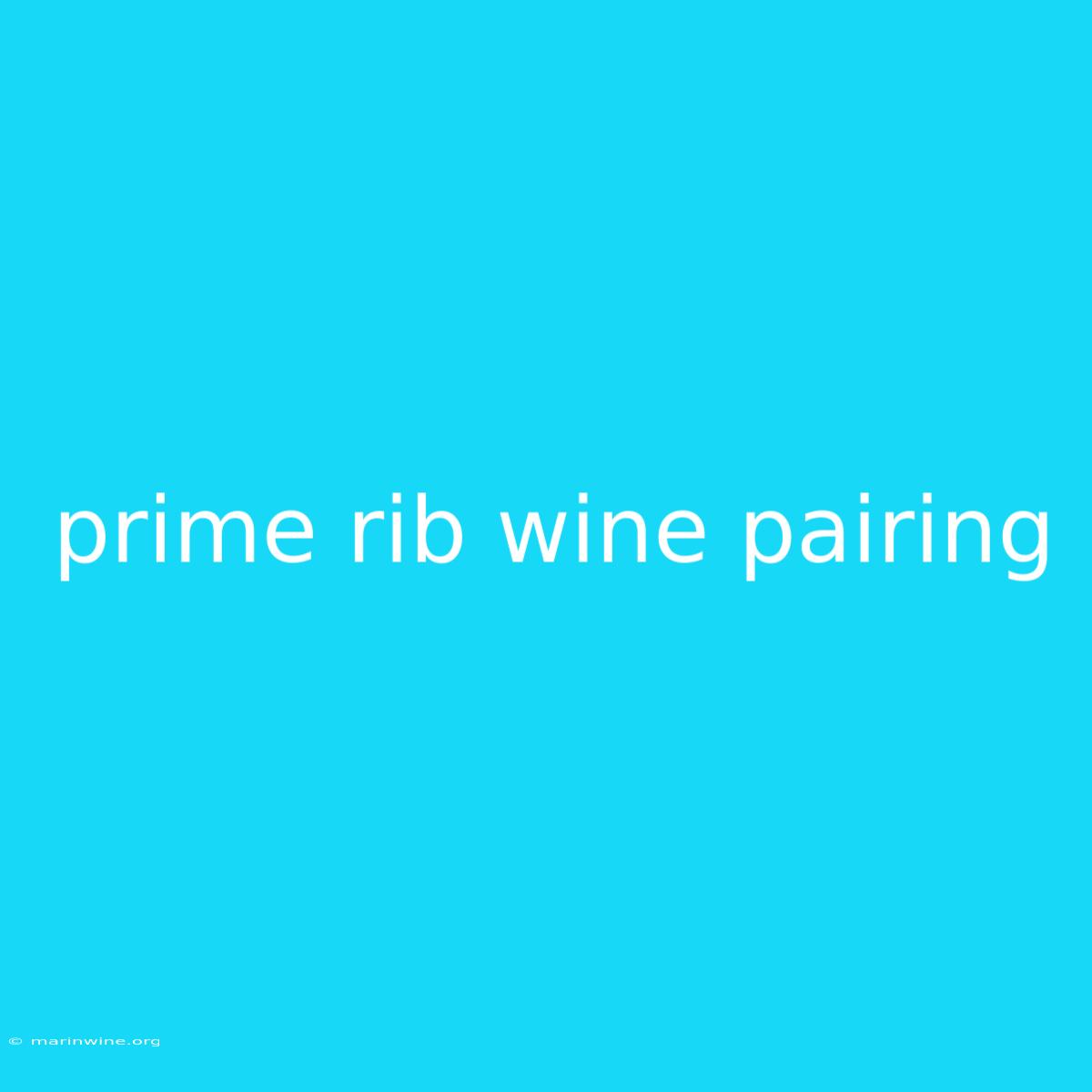 Prime Rib Wine Pairing