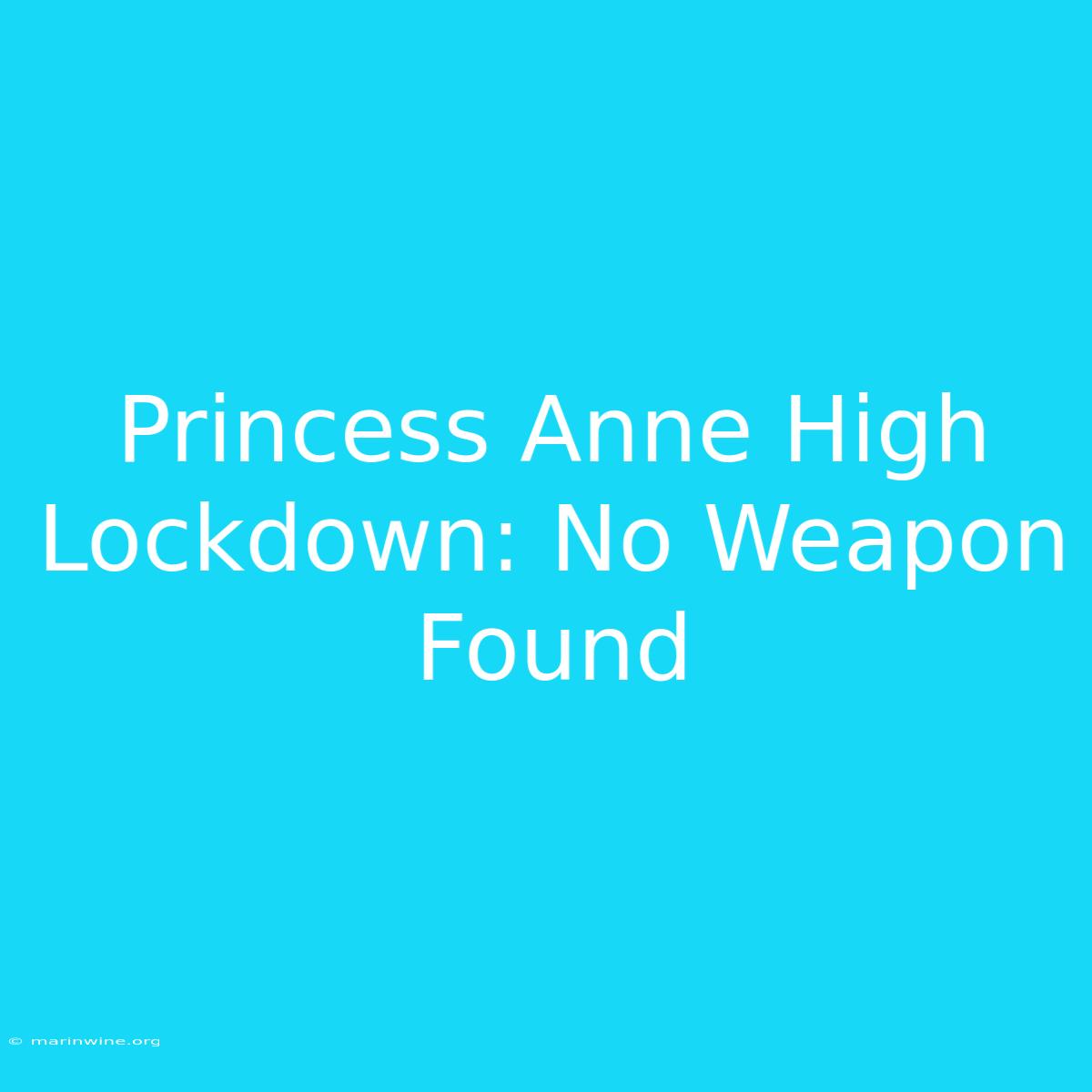 Princess Anne High Lockdown: No Weapon Found