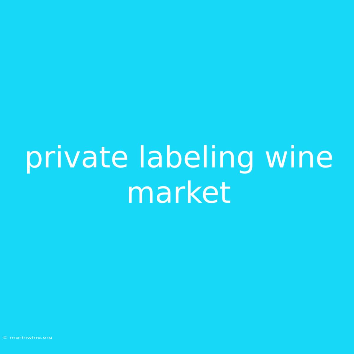 Private Labeling Wine Market