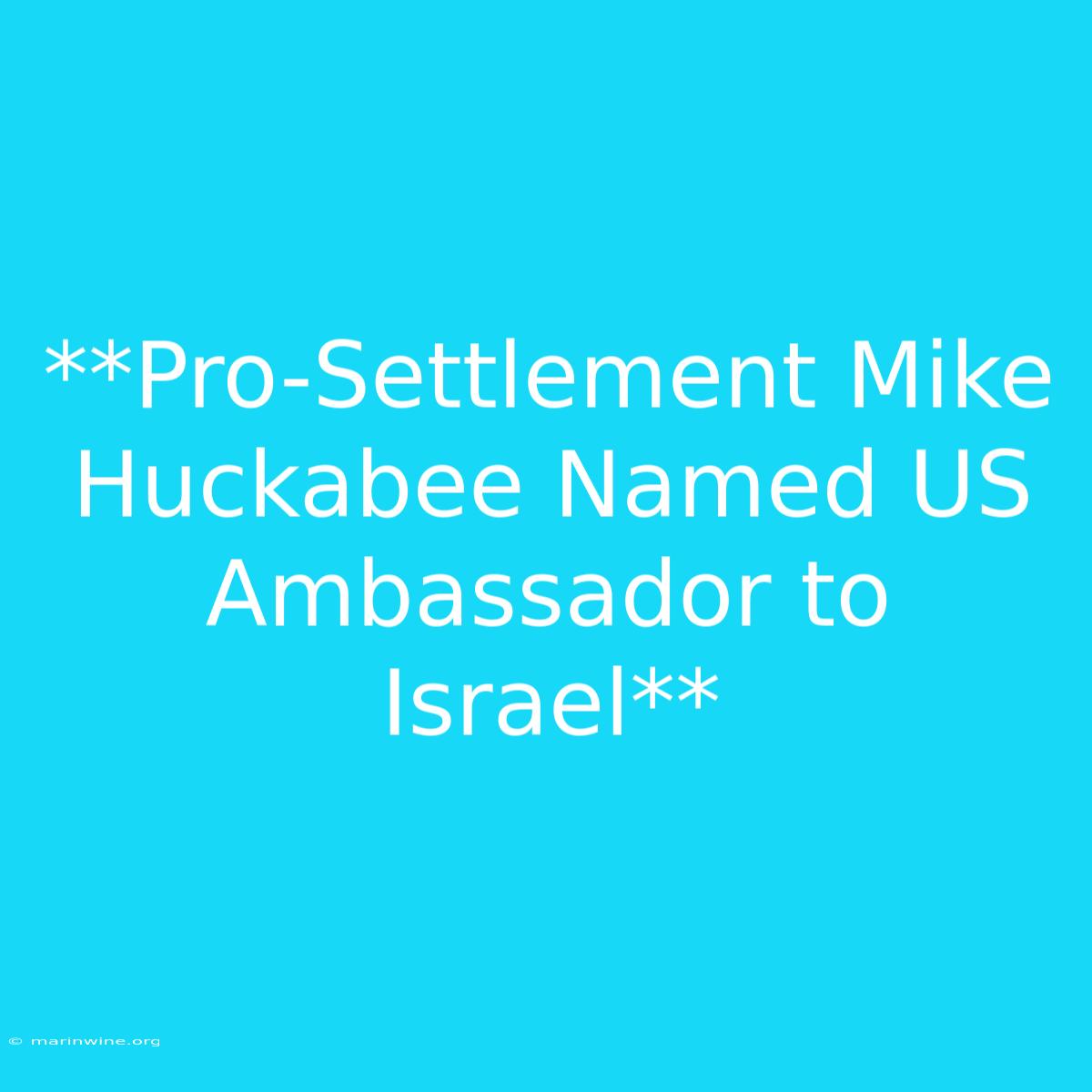 **Pro-Settlement Mike Huckabee Named US Ambassador To Israel**