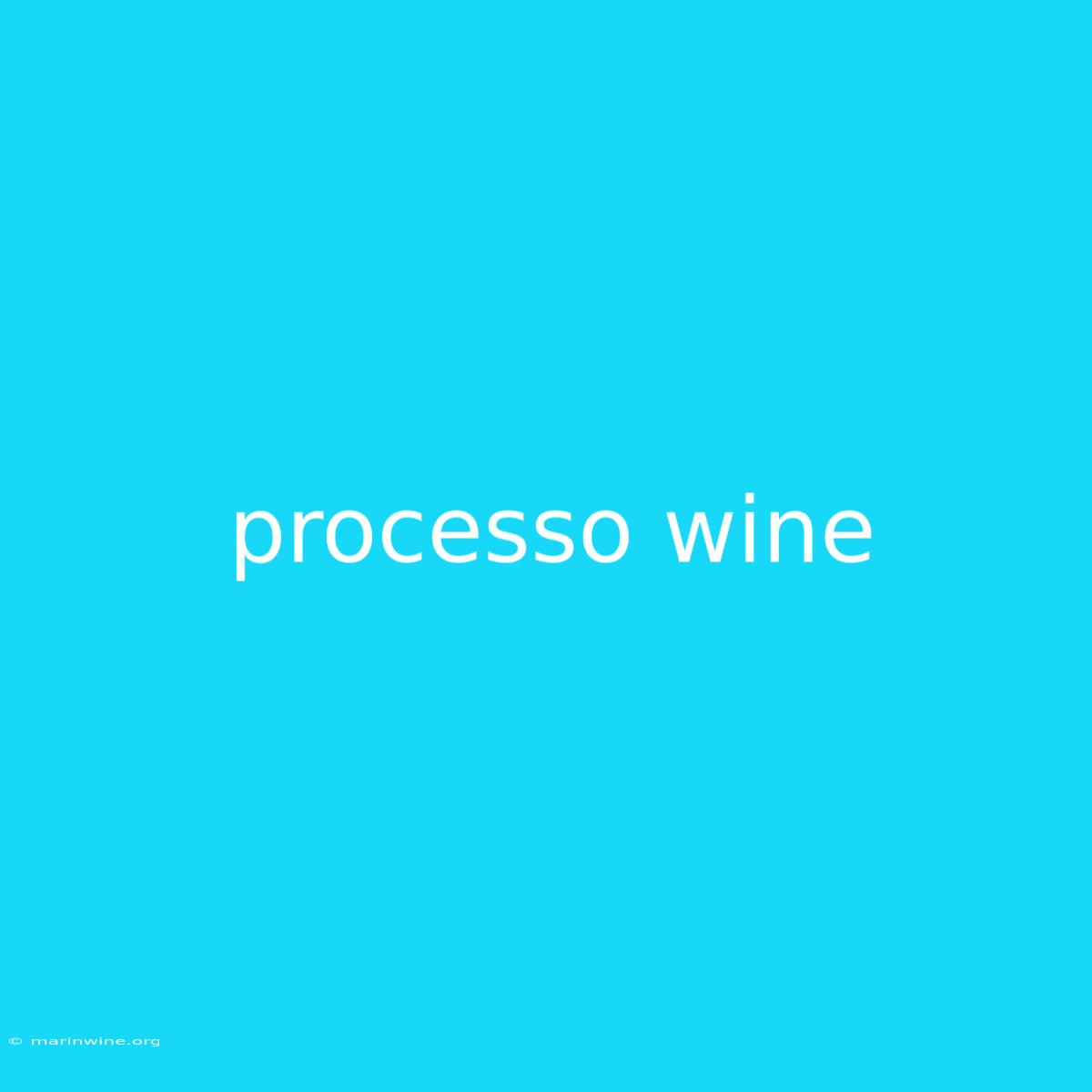 Processo Wine