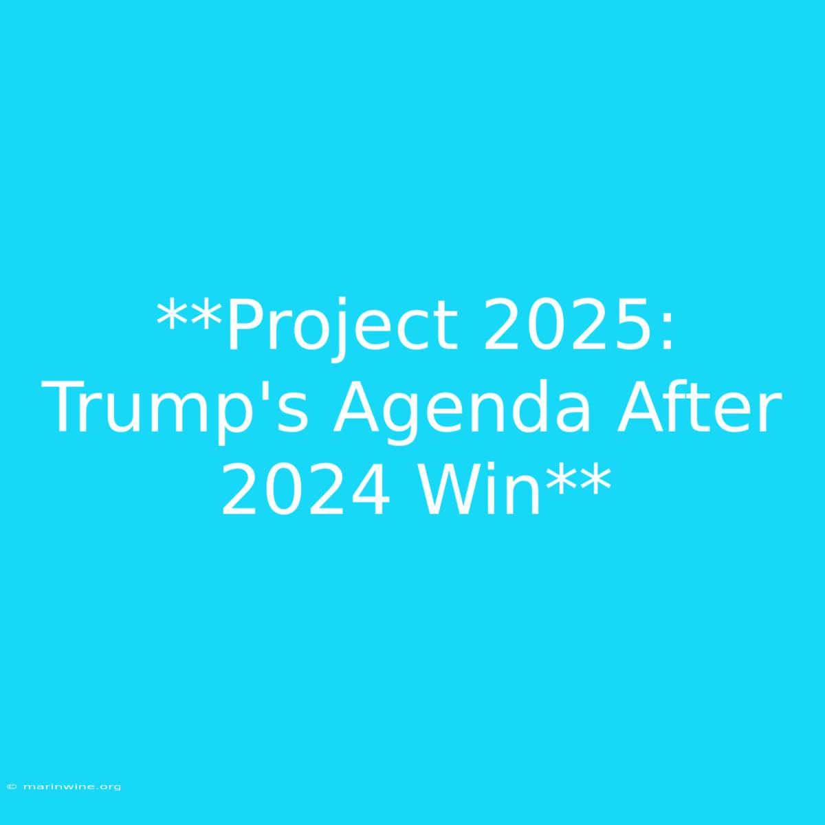 **Project 2025:  Trump's Agenda After 2024 Win** 