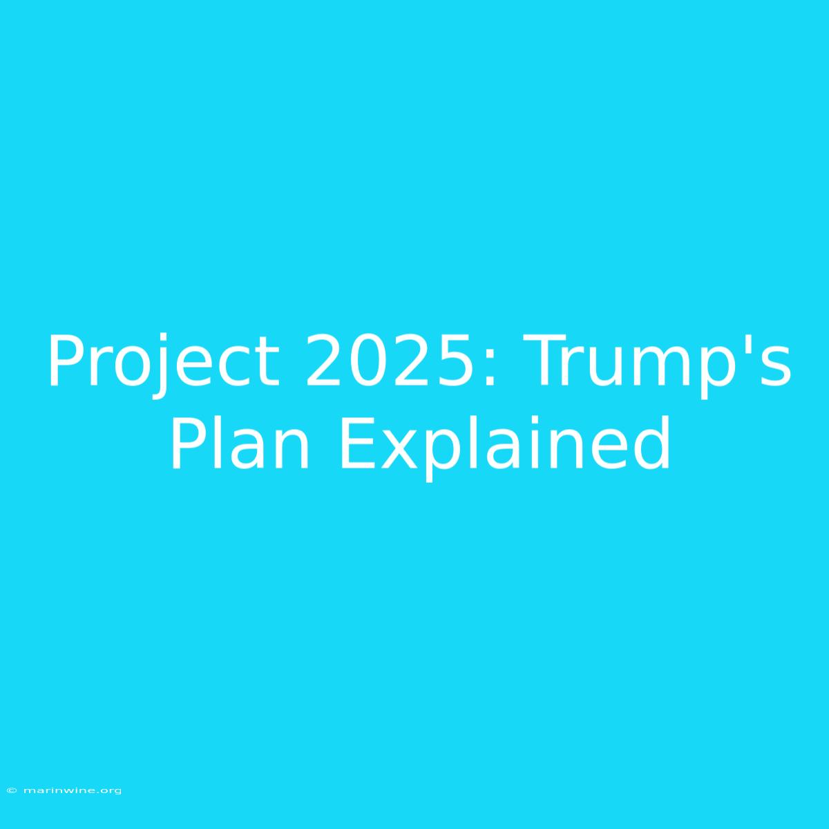 Project 2025: Trump's Plan Explained