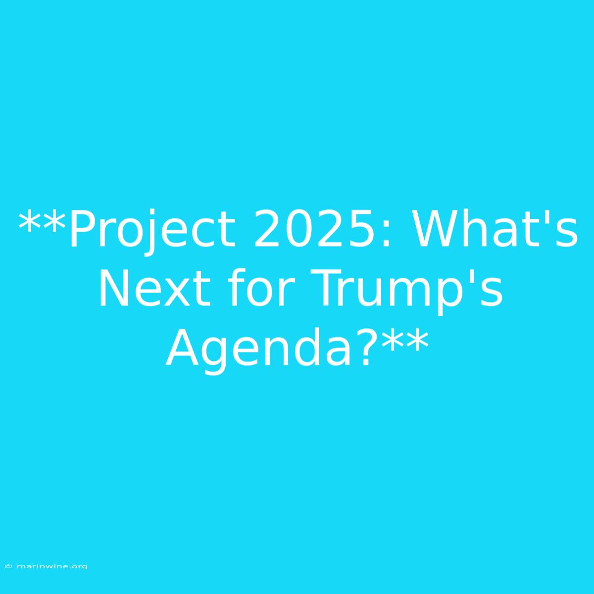 **Project 2025: What's Next For Trump's Agenda?** 