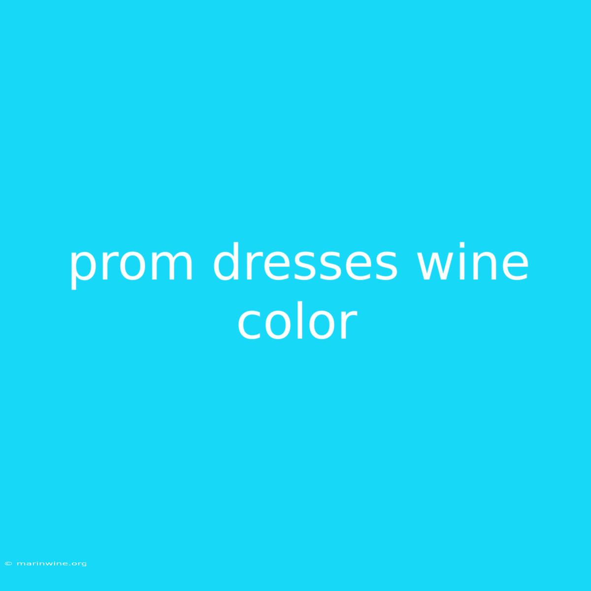 Prom Dresses Wine Color