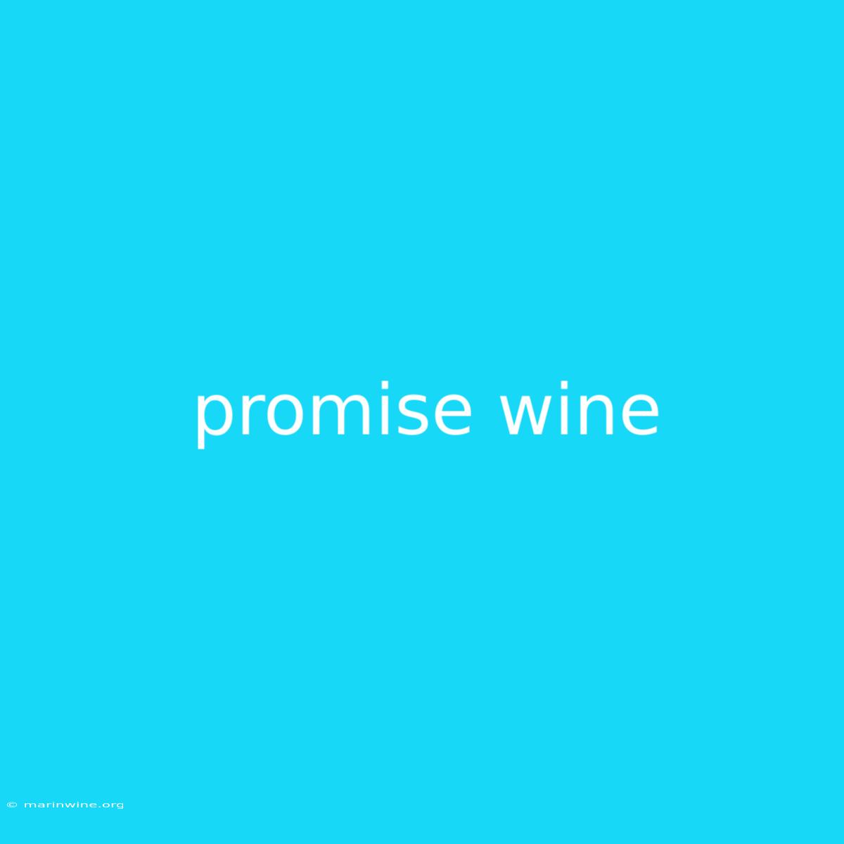 Promise Wine